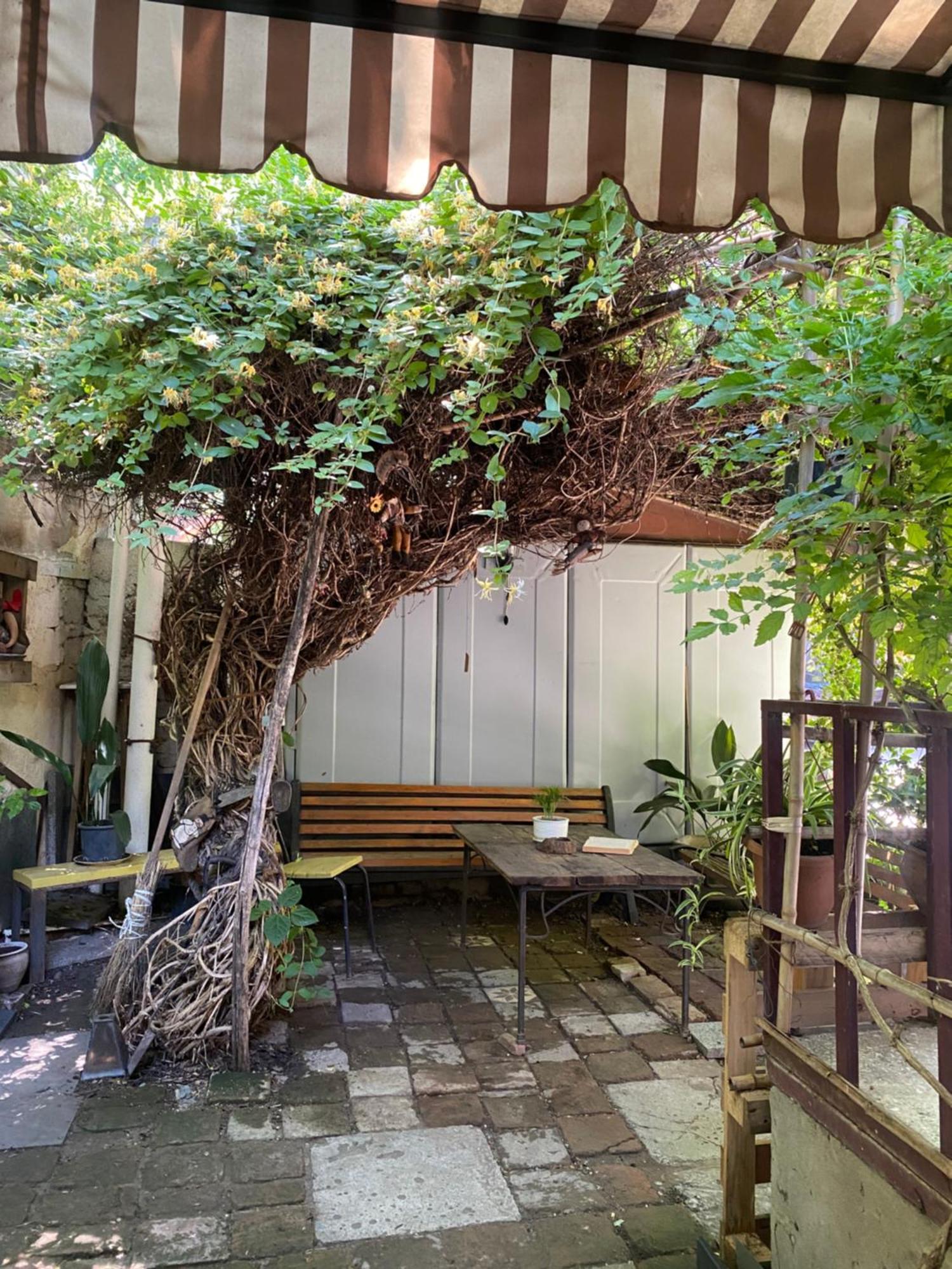 Cozy Zandukeli N15 - City Centre Tiflis Dış mekan fotoğraf